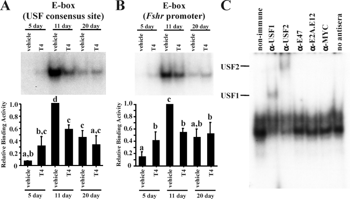 FIG. 4.