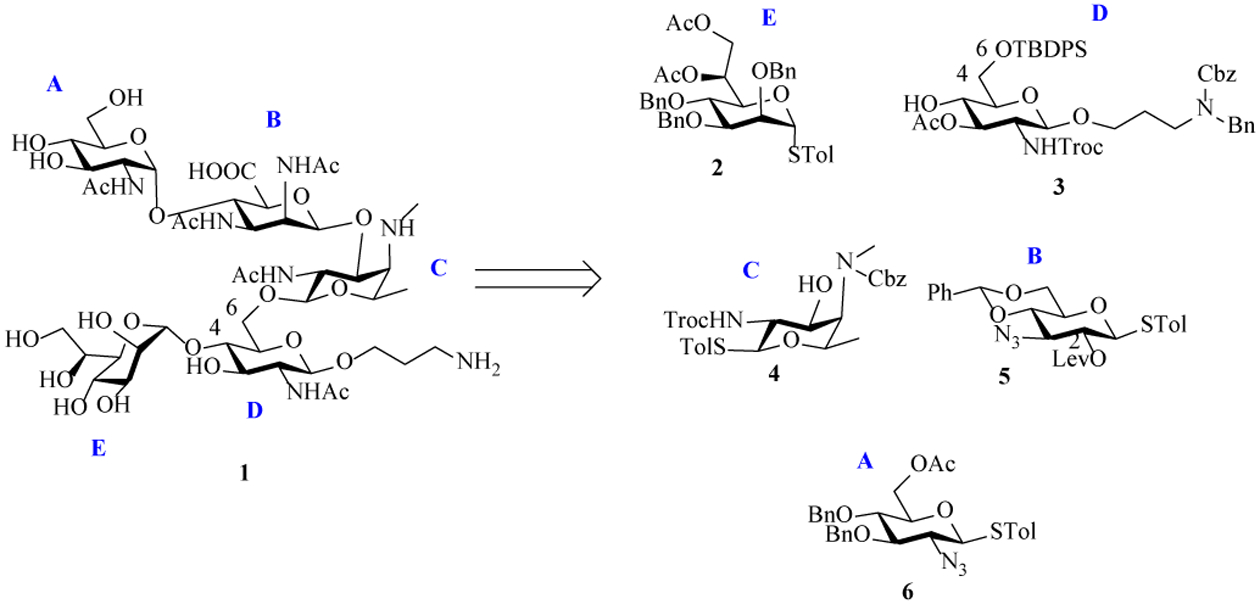 Scheme 1.