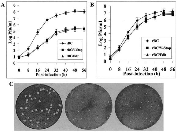 FIG. 3.