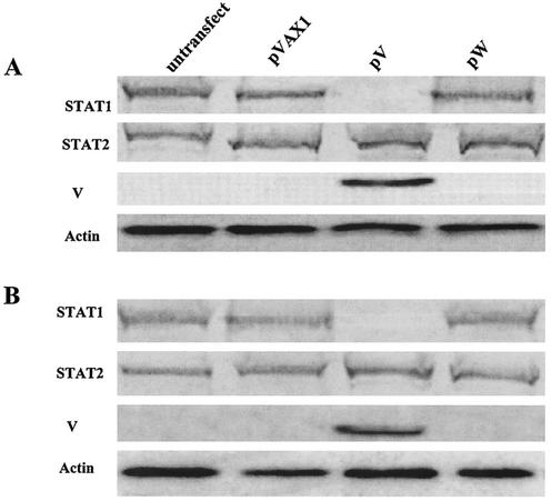 FIG. 8.