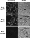 <b>Figure 4.</b>