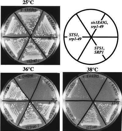 FIG. 6