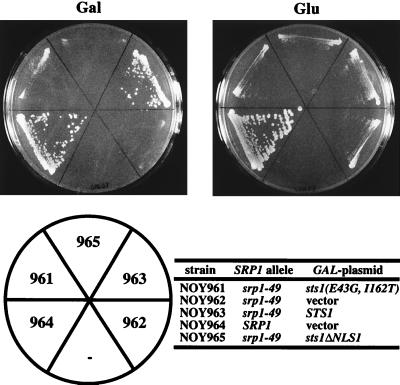 FIG. 5