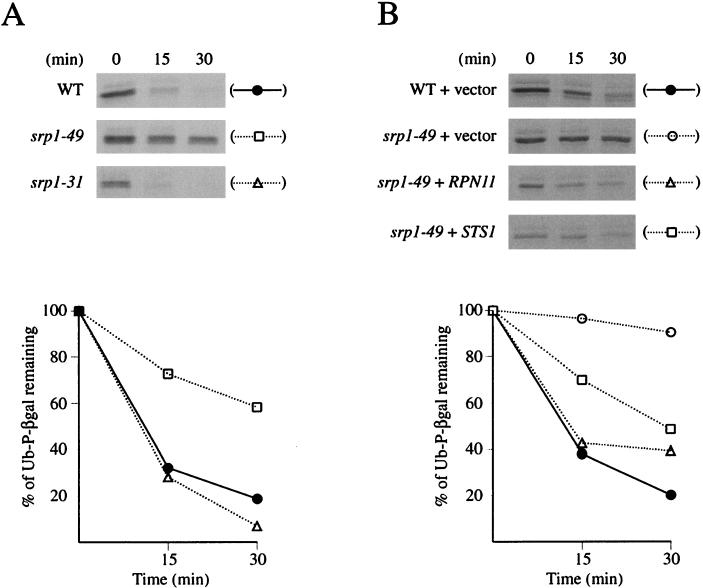 FIG. 7