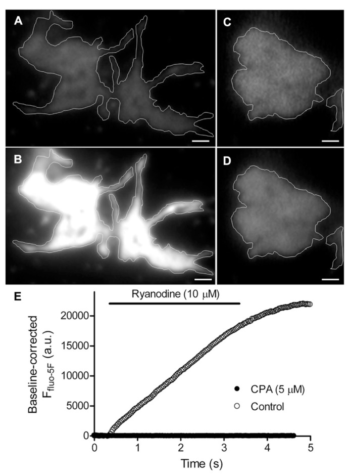 FIGURE 2