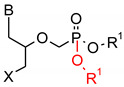 graphic file with name polymers-12-00768-i009.jpg