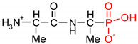 graphic file with name polymers-12-00768-i005.jpg