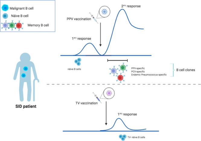 Image, graphical abstract