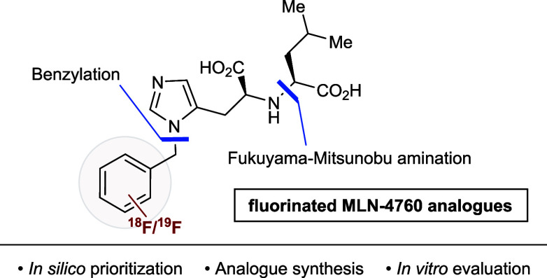 graphic file with name jo5c00918_0007.jpg