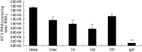 FIG 7