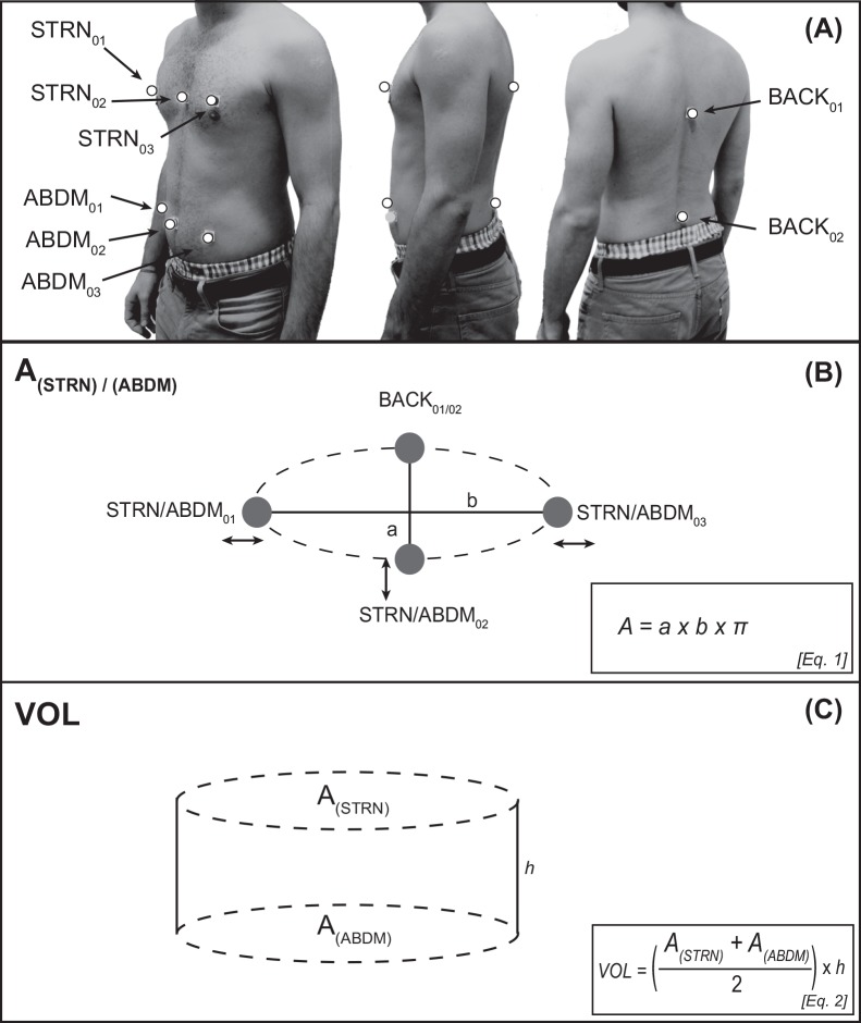 Fig 1