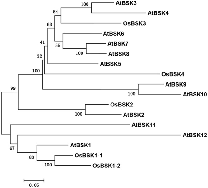 FIGURE 1