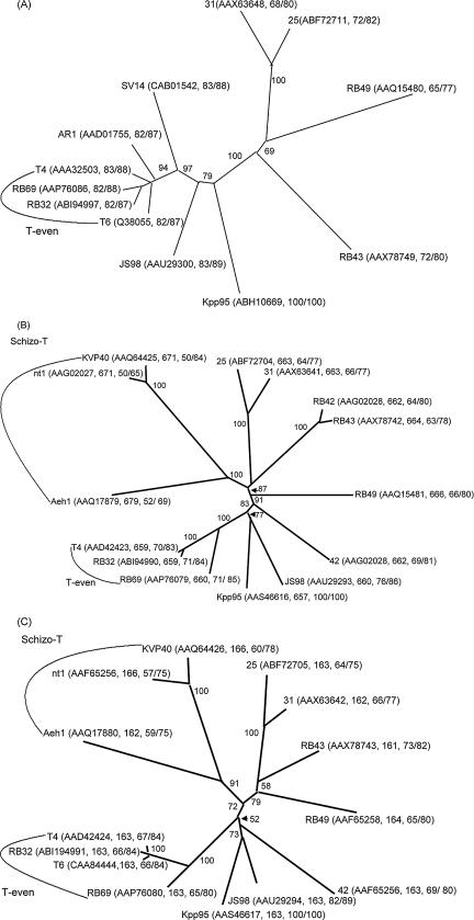 FIG. 5.