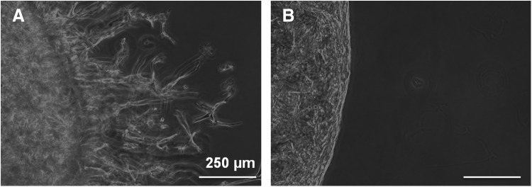 FIG. 8.