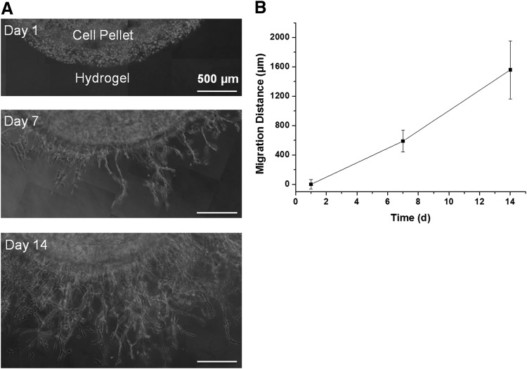 FIG. 6.