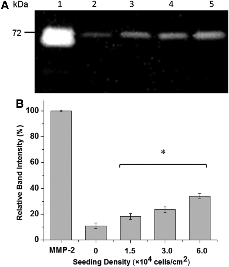 FIG. 5.