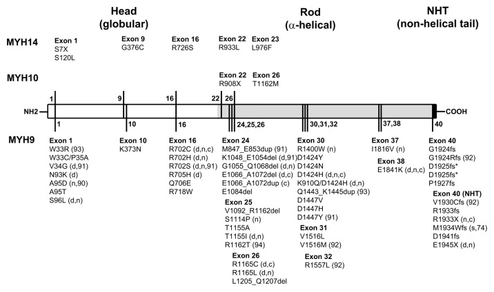 Figure 6. 