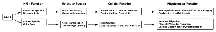 graphic file with name bioa-4-88-g4.jpg