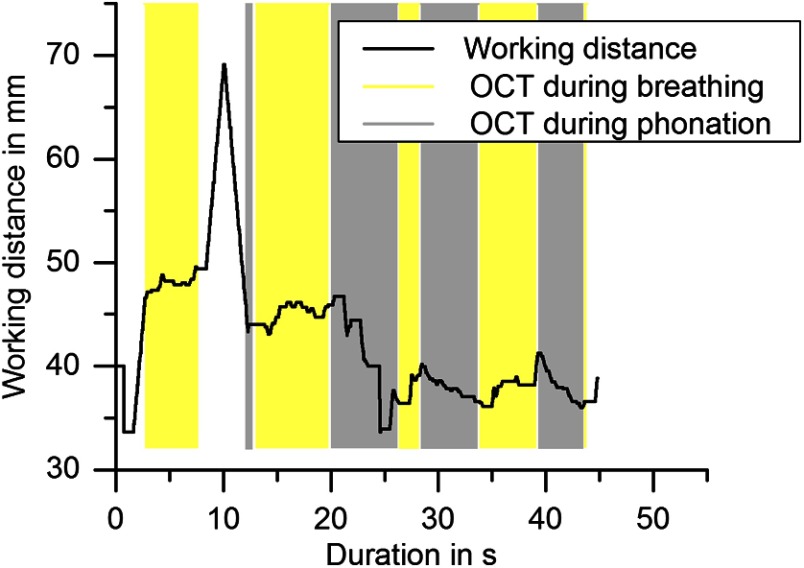 Fig. 10