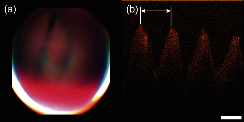 Fig. 9