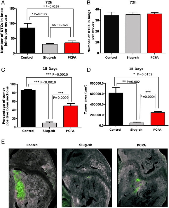 Figure 6