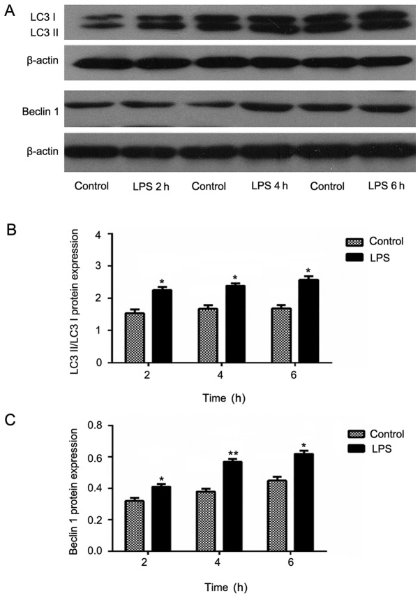 Figure 5.