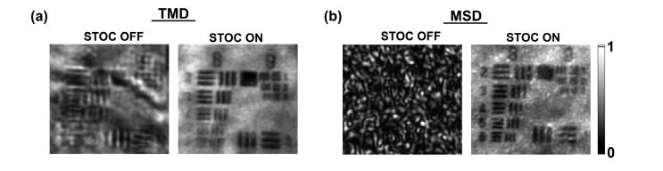 Fig. 12