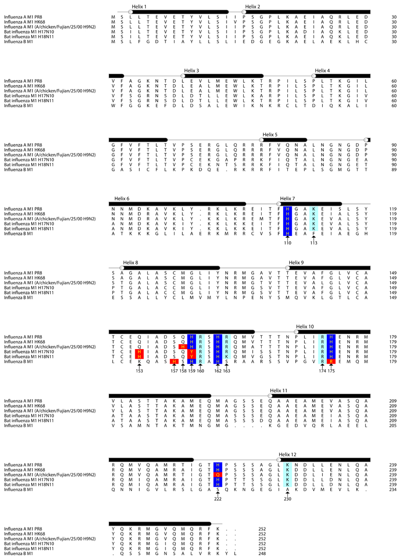 Extended Data Figure 7