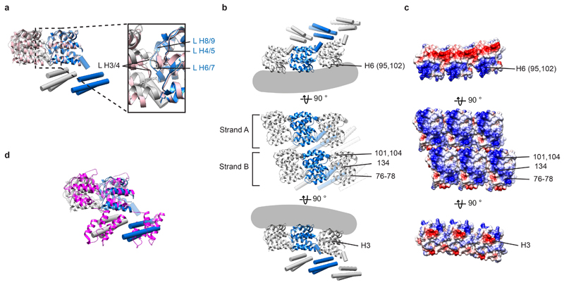 Extended Data Figure 3