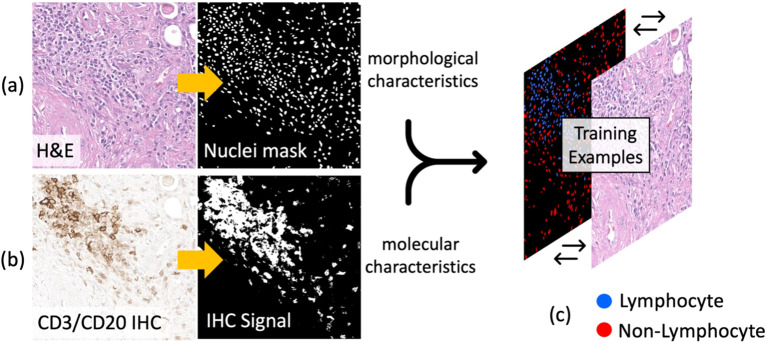 Figure 4