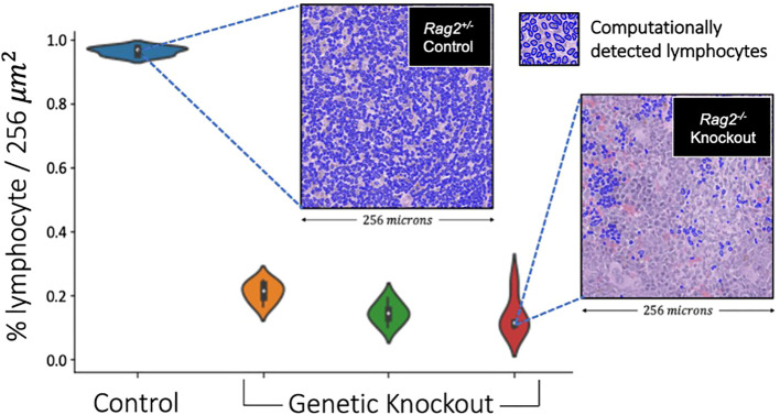 Figure 11