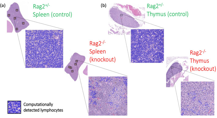 Figure 12