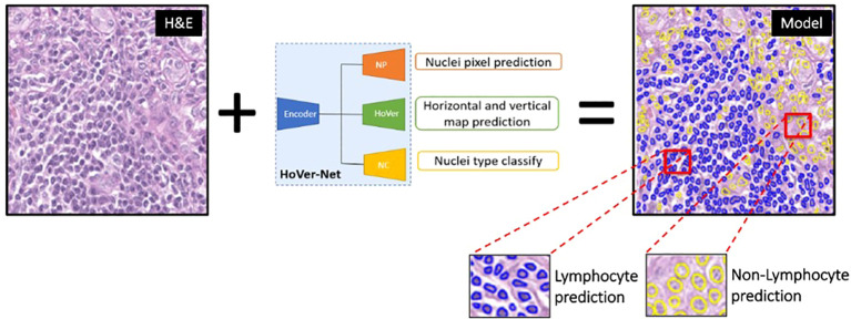 Figure 5