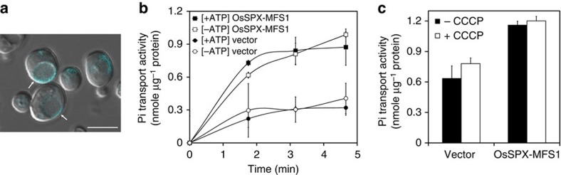 Figure 5