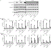 Figure 6: