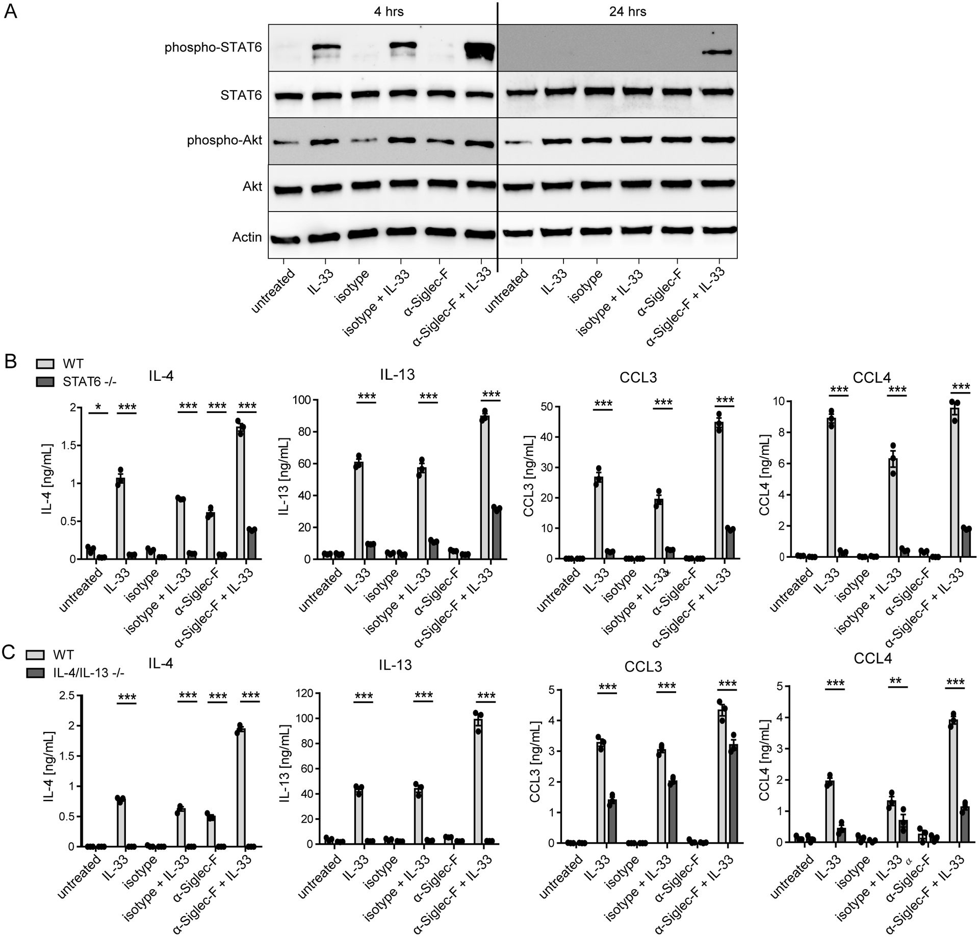 Figure 6: