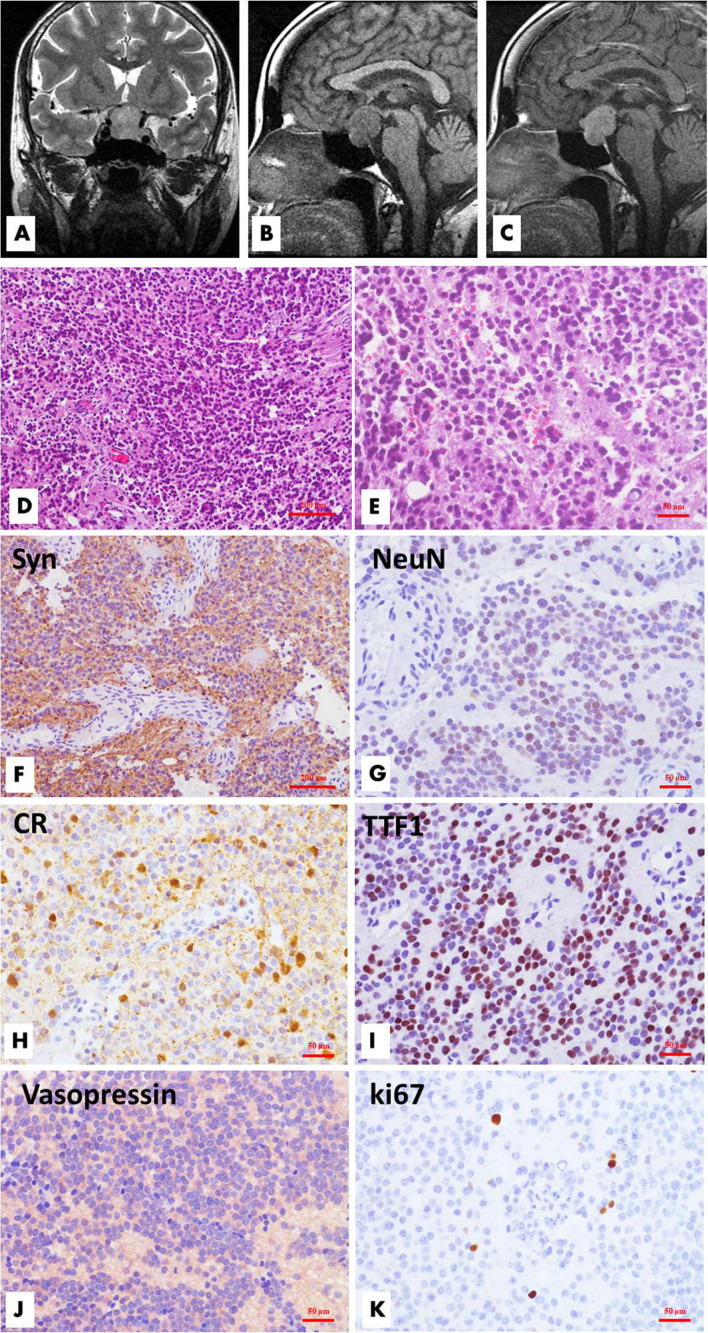 Figure 1