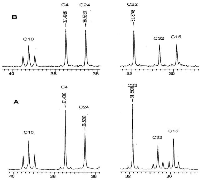 FIG. 5