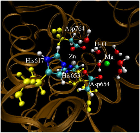 FIGURE 4