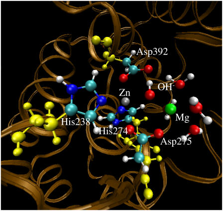 FIGURE 1