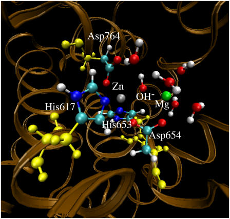 FIGURE 3