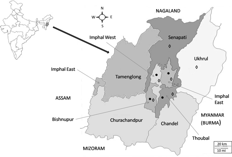 Fig. 1
