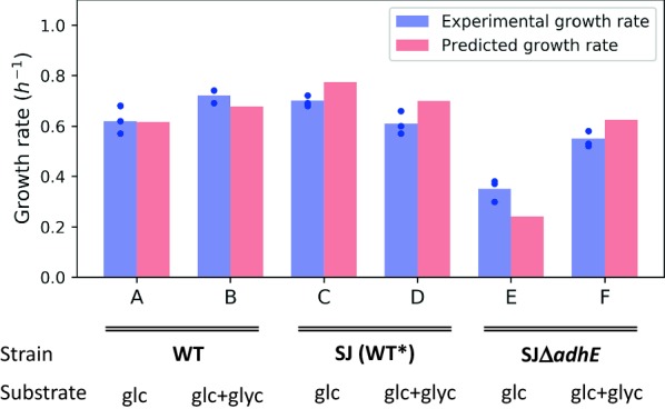 Fig. 4