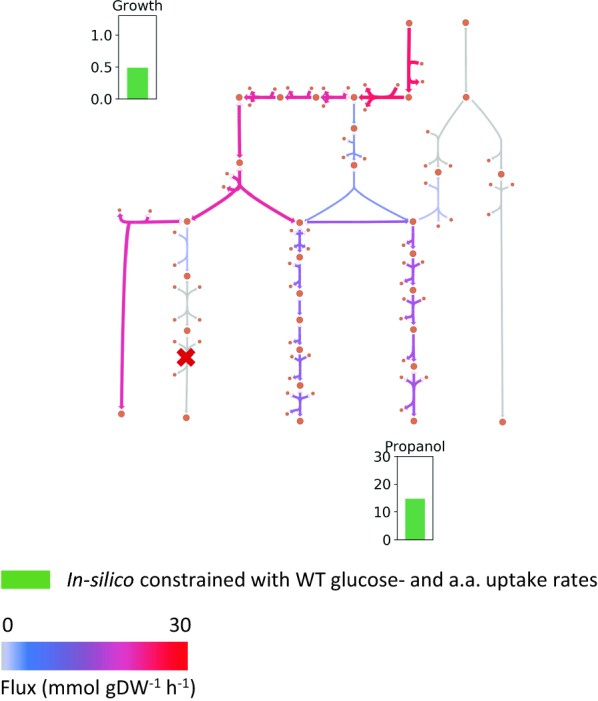 Fig. 7