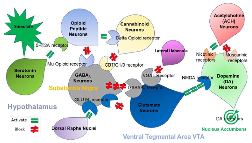 Figure 1: