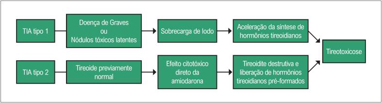 Figura 1