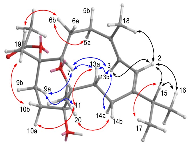 Figure 5