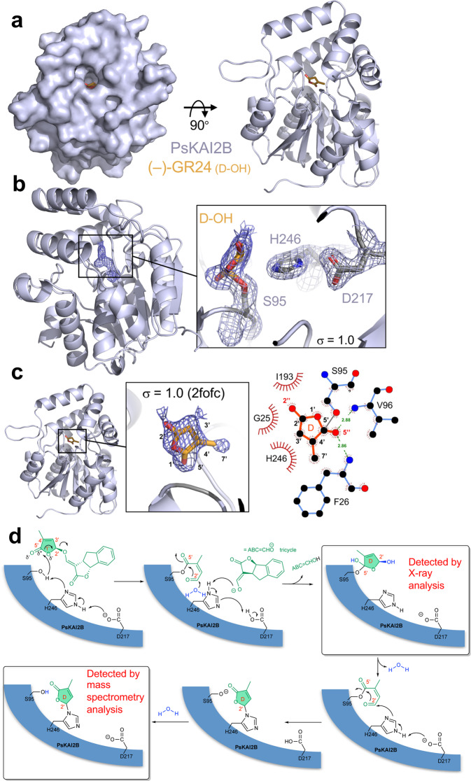 Fig. 8