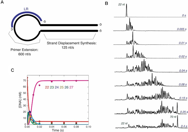 Figure 4.