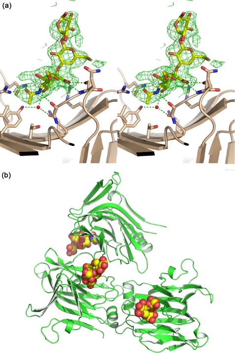 FIGURE 3.